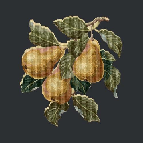 Pears Needlepoint Kit Elizabeth Bradley Design Black 