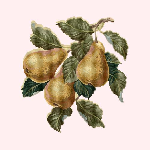 Pears Needlepoint Kit Elizabeth Bradley Design Cream 