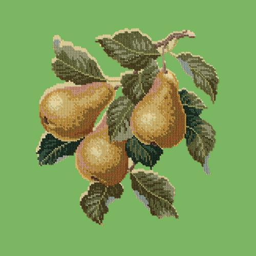 Pears Needlepoint Kit Elizabeth Bradley Design Grass Green 