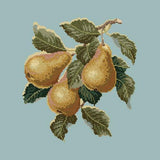 Pears Needlepoint Kit Elizabeth Bradley Design Pale Blue 