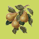 Pears Needlepoint Kit Elizabeth Bradley Design Pale Lime 