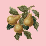 Pears Needlepoint Kit Elizabeth Bradley Design Pale Rose 