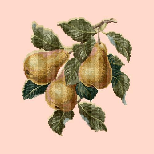 Pears Needlepoint Kit Elizabeth Bradley Design Salmon Pink 