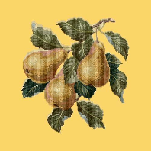Pears Needlepoint Kit Elizabeth Bradley Design Sunflower Yellow 