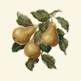 Pears Needlepoint Kit Elizabeth Bradley Design Winter White 