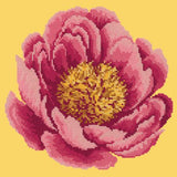Peony Needlepoint Kit Elizabeth Bradley Design Sunflower Yellow 