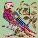 Pete the Parrot Needlepoint Kit Elizabeth Bradley Design Pale Green 