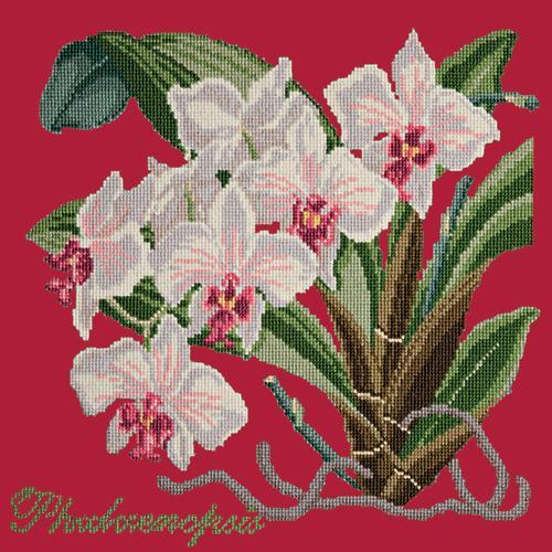 Phalaenopsis (Moth Orchid) Needlepoint Kit Elizabeth Bradley Design Bright Red 