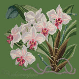 Phalaenopsis (Moth Orchid) Needlepoint Kit Elizabeth Bradley Design Dark Green 