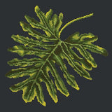 Philodendron Leaf Needlepoint Kit Elizabeth Bradley Design Black 