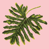 Philodendron Leaf Needlepoint Kit Elizabeth Bradley Design Pale Rose 