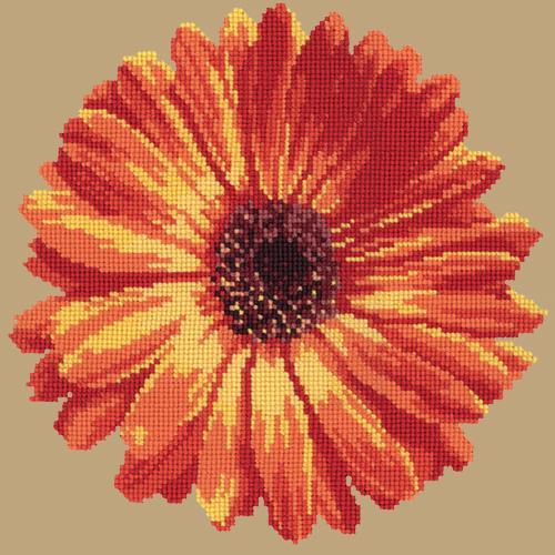 Pot Marigold Needlepoint Kit Elizabeth Bradley Design Sand 