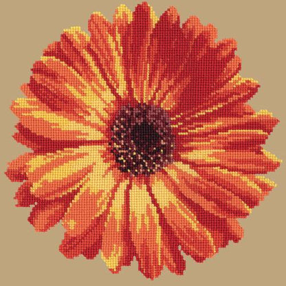 Pot Marigold Needlepoint Kit Elizabeth Bradley Design Sand 