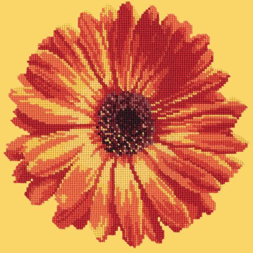 Pot Marigold Needlepoint Kit Elizabeth Bradley Design Sunflower Yellow 