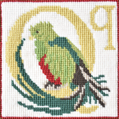 Q-Quetzal