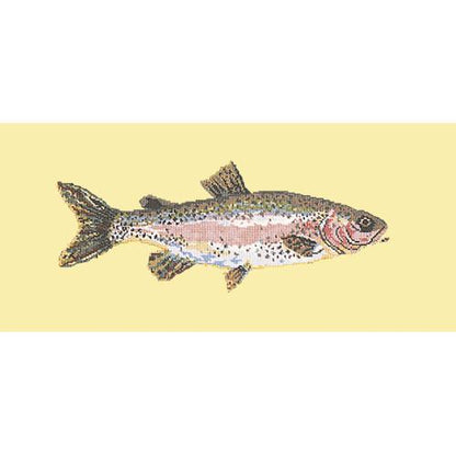 Rainbow Trout Needlepoint Kit Elizabeth Bradley Design Butter Yellow 