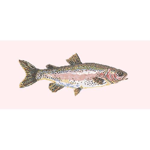 Rainbow Trout Needlepoint Kit Elizabeth Bradley Design Cream 