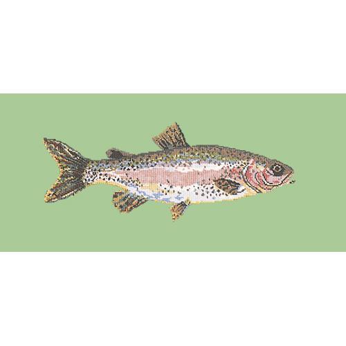 Rainbow Trout Needlepoint Kit Elizabeth Bradley Design Pale Green 