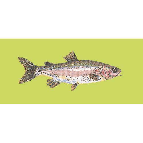 Rainbow Trout Needlepoint Kit Elizabeth Bradley Design Pale Lime 