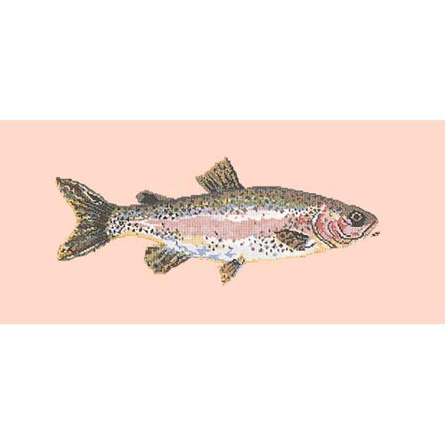Rainbow Trout Needlepoint Kit Elizabeth Bradley Design Salmon Pink 
