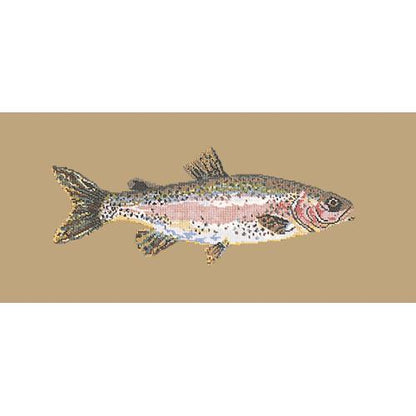 Rainbow Trout Needlepoint Kit Elizabeth Bradley Design Sand 