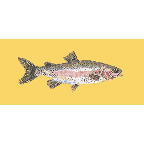 Rainbow Trout Needlepoint Kit Elizabeth Bradley Design Sunflower Yellow 