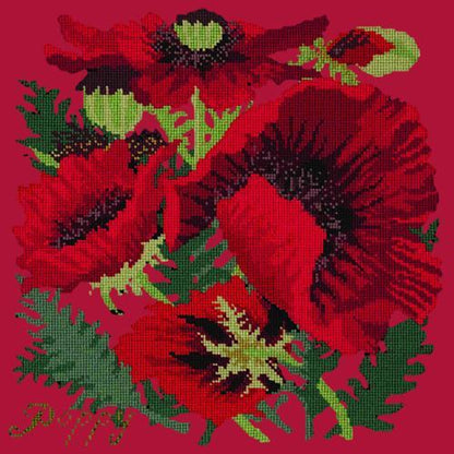 Red Poppy Needlepoint Kit Elizabeth Bradley Design Bright Red 