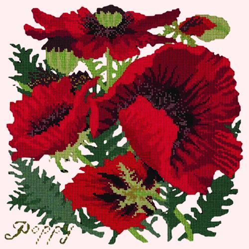 Red Poppy Needlepoint Kit Elizabeth Bradley Design Cream 