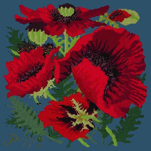 Red Poppy Needlepoint Kit Elizabeth Bradley Design Dark Blue 