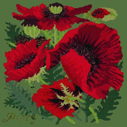 Red Poppy Needlepoint Kit Elizabeth Bradley Design Dark Green 