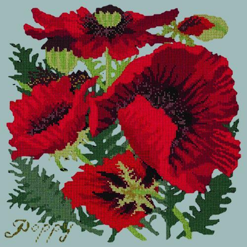 Red Poppy Needlepoint Kit Elizabeth Bradley Design Pale Blue 