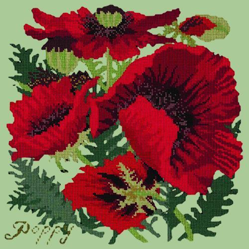 Red Poppy Needlepoint Kit Elizabeth Bradley Design Pale Green 