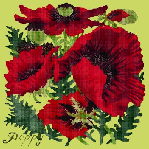 Red Poppy Needlepoint Kit Elizabeth Bradley Design Pale Lime 