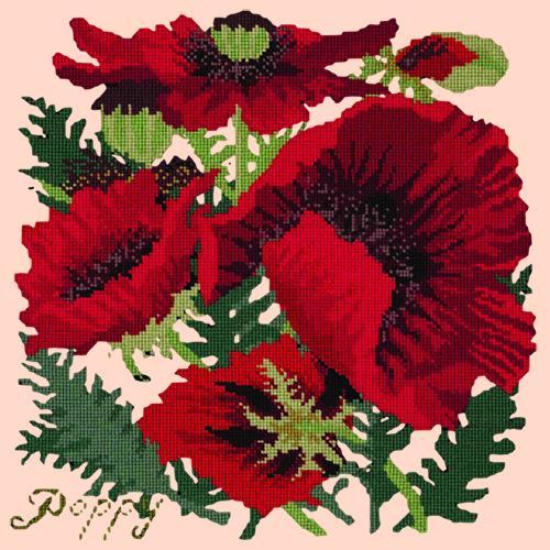 Red Poppy Needlepoint Kit Elizabeth Bradley Design Salmon Pink 