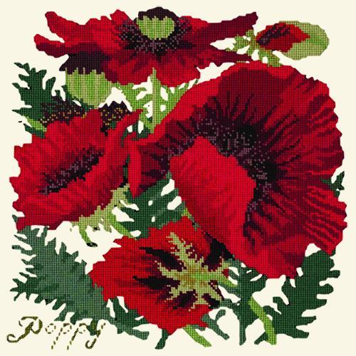 Red Poppy Needlepoint Kit Elizabeth Bradley Design Winter White 