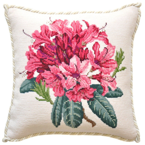 Rhododendron