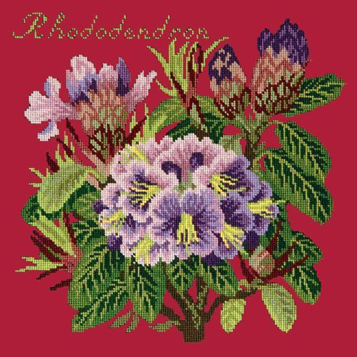 Rhododendron Needlepoint Kit Elizabeth Bradley Design Bright Red 
