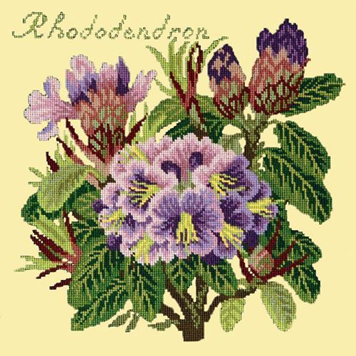 Rhododendron Needlepoint Kit Elizabeth Bradley Design Butter Yellow 