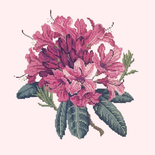 Rhododendron Needlepoint Kit Elizabeth Bradley Design Cream 