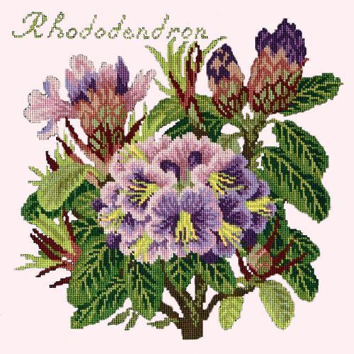 Rhododendron Needlepoint Kit Elizabeth Bradley Design Cream 