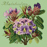 Rhododendron Needlepoint Kit Elizabeth Bradley Design Pale Green 