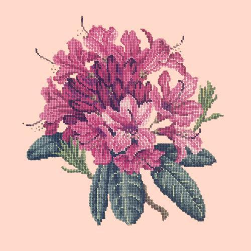 Rhododendron Needlepoint Kit Elizabeth Bradley Design Salmon Pink 