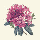 Rhododendron Needlepoint Kit Elizabeth Bradley Design Winter White 