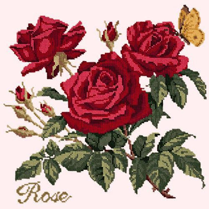 Rose Needlepoint Kit Elizabeth Bradley Design Cream 