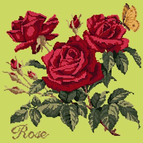 Rose Needlepoint Kit Elizabeth Bradley Design Pale Lime 