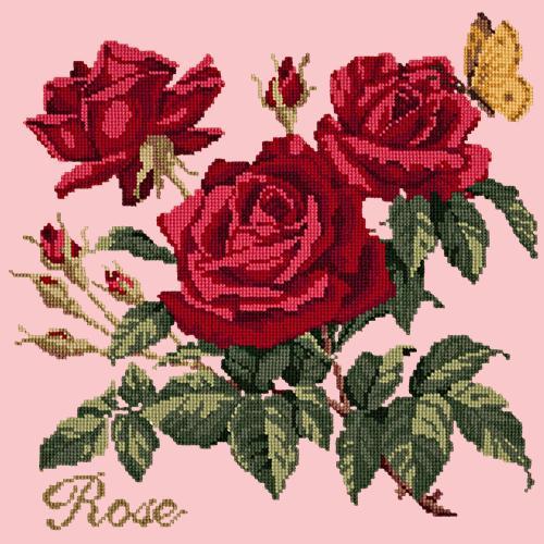 Rose Needlepoint Kit Elizabeth Bradley Design Pale Rose 