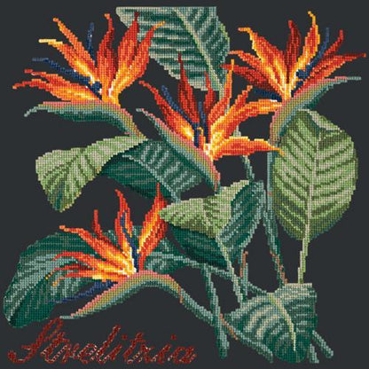 Strelitzia (Bird of Paradise) Needlepoint Kit Elizabeth Bradley Design Black 