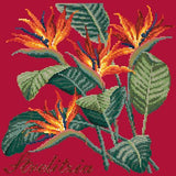 Strelitzia (Bird of Paradise) Needlepoint Kit Elizabeth Bradley Design Bright Red 