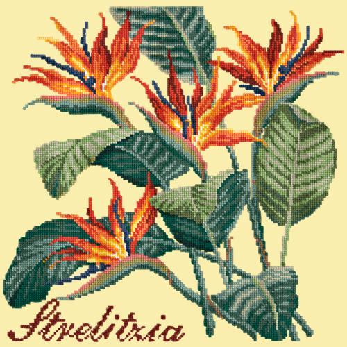 Strelitzia (Bird of Paradise) Needlepoint Kit Elizabeth Bradley Design Butter Yellow 