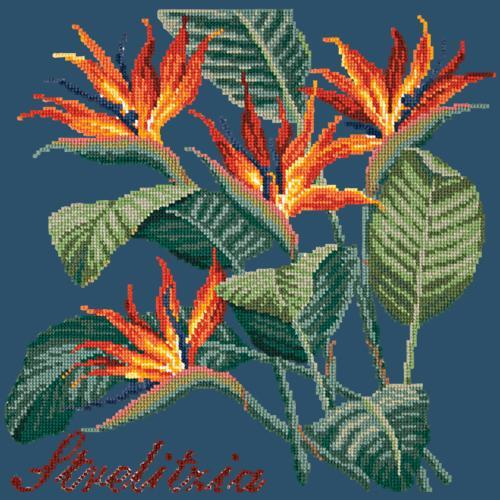 Strelitzia (Bird of Paradise) Needlepoint Kit Elizabeth Bradley Design Dark Blue 